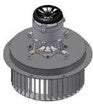 V Belt - Z45.5