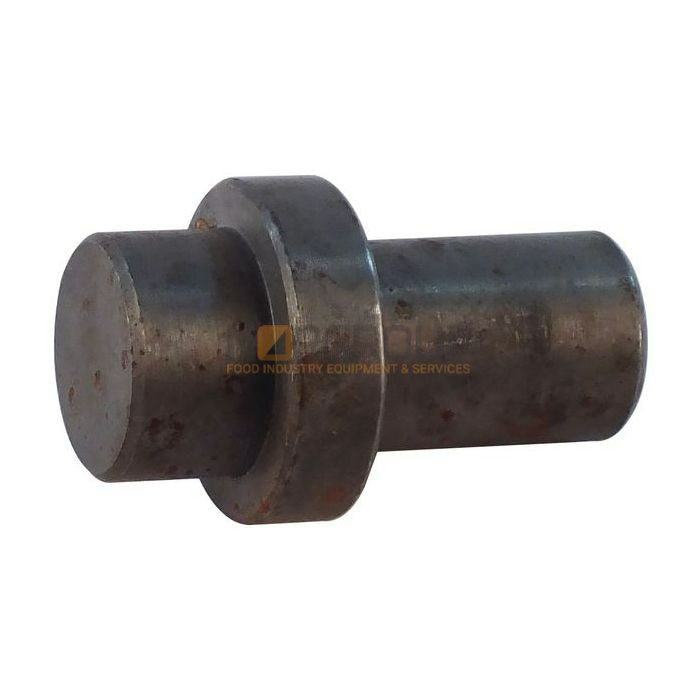Door Bottom Pin